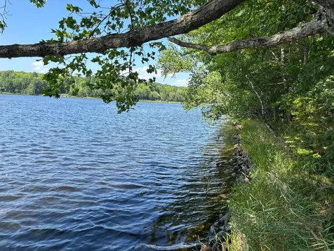 Lot 33 Nicolet Shores Lane Phelps WI 54554