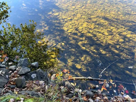 Lot 33 Nicolet Shores Lane Phelps WI 54554