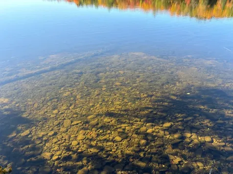 Lot 33 Nicolet Shores Lane Phelps WI 54554