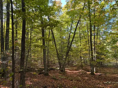 Lot 33 Nicolet Shores Lane Phelps WI 54554