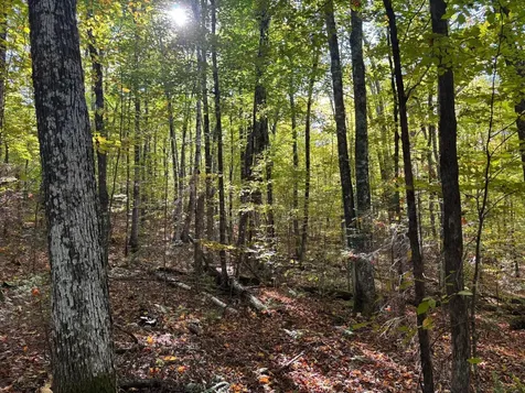 Lot 33 Nicolet Shores Lane Phelps WI 54554
