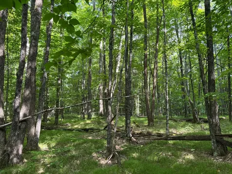 Lot 33 Nicolet Shores Lane Phelps WI 54554