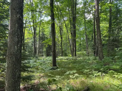 Lot 33 Nicolet Shores Lane Phelps WI 54554
