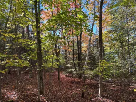 Lot 33 Nicolet Shores Lane Phelps WI 54554