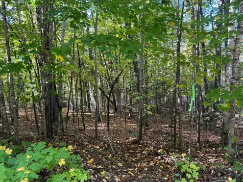 Lot 33 Nicolet Shores Lane Phelps WI 54554