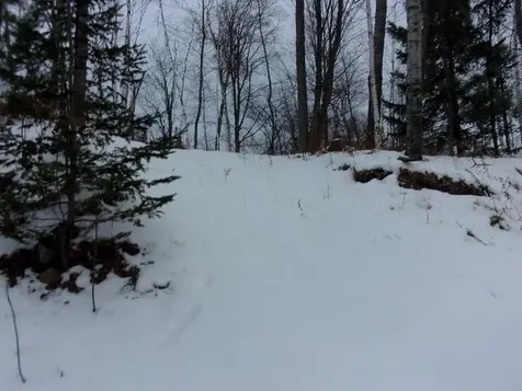 16788 Nicolet Road Townsend WI 54175