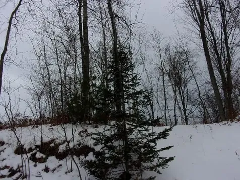 16788 Nicolet Road Townsend WI 54175
