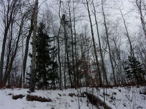 16788 Nicolet Road Townsend WI 54175