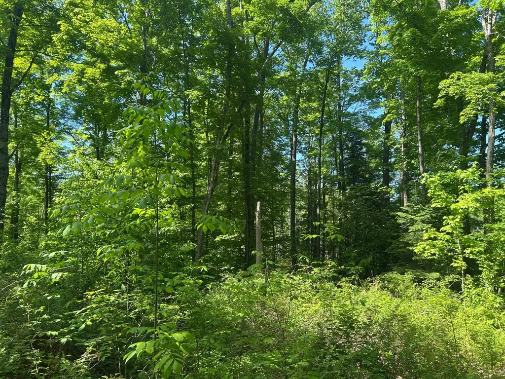 Lot 24 Cth G Pelican Lake WI 54463
