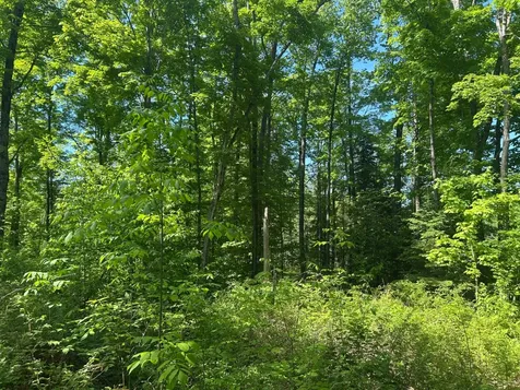 Lot 24 Cth G Pelican Lake WI 54463