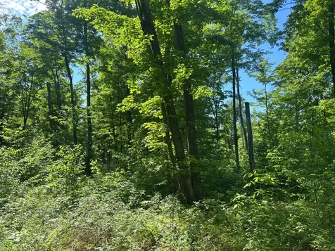 Lot 24 Cth G Pelican Lake WI 54463