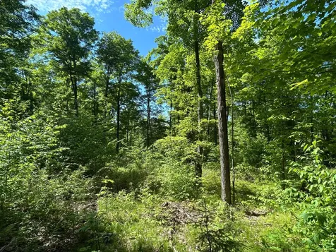 Lot 24 Cth G Pelican Lake WI 54463