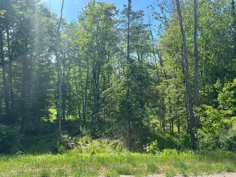 Lot 24 Cth G Pelican Lake WI 54463