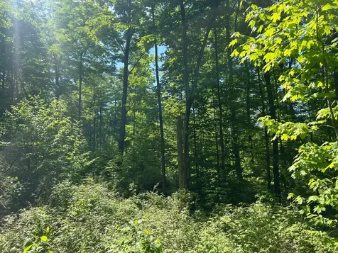 Lot 24 Cth G Pelican Lake WI 54463