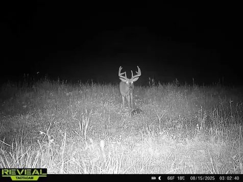 9291 Rock Lake Road WI 54843