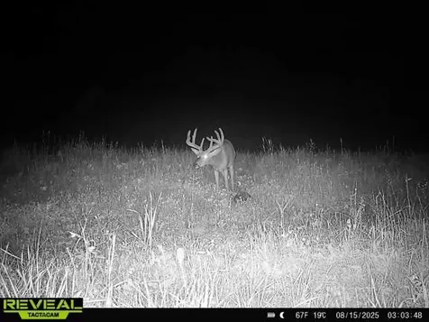 9291 Rock Lake Road WI 54843