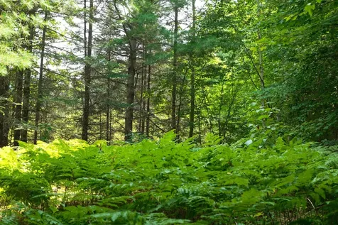 9291 Rock Lake Road WI 54843