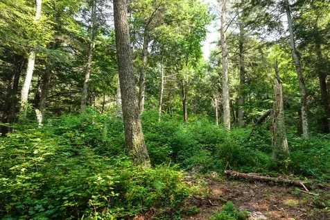 9291 Rock Lake Road WI 54843