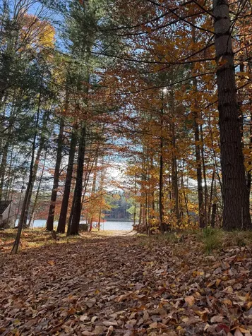 N12655 Hemlock Shores Court Athelstane WI 54104