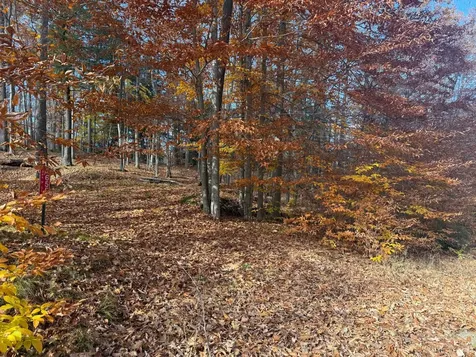 N12655 Hemlock Shores Court Athelstane WI 54104