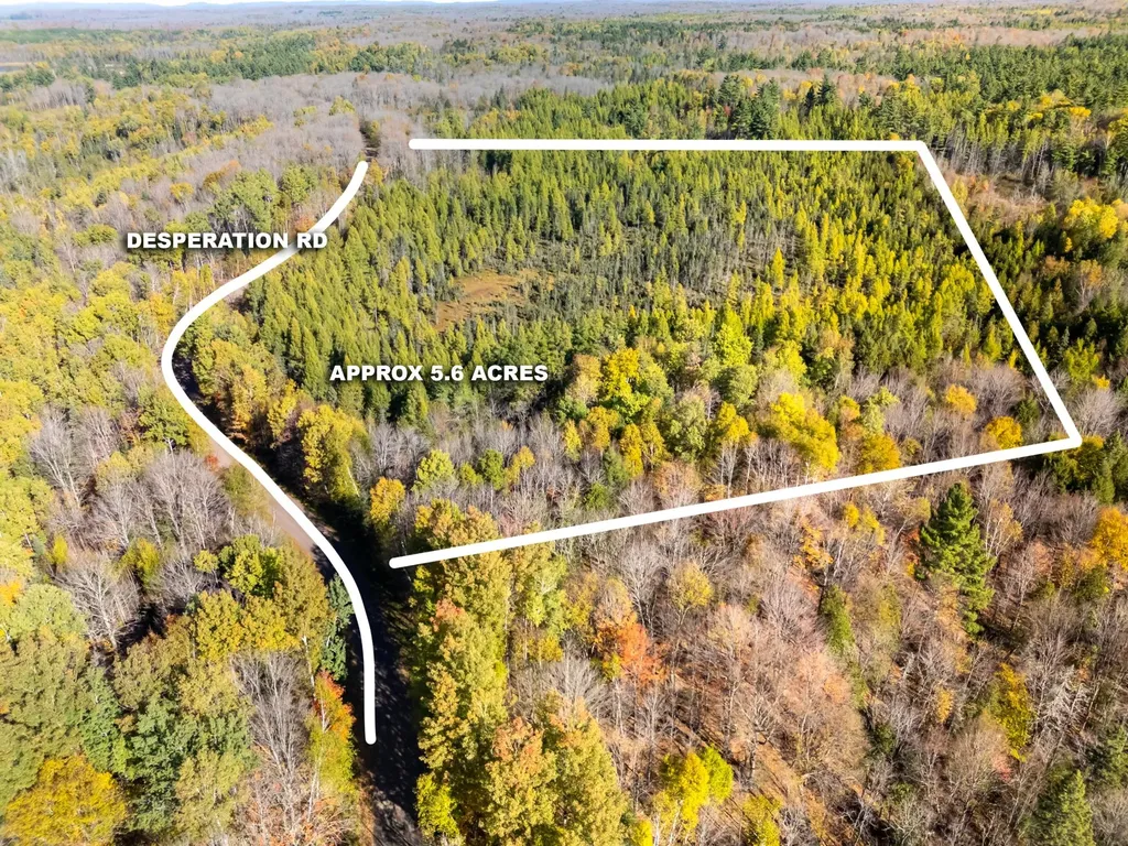 Lot On Desperation Road Oma WI 54534
