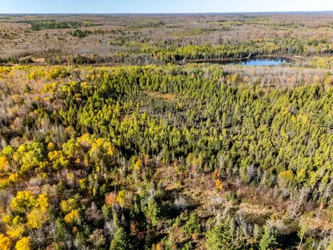Lot On Desperation Road Oma WI 54534