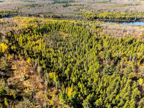 Lot On Desperation Road Oma WI 54534