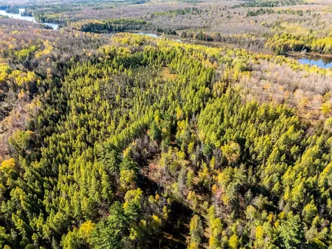 Lot On Desperation Road Oma WI 54534