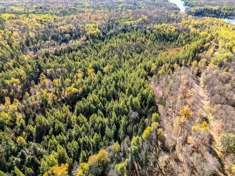 Lot On Desperation Road Oma WI 54534