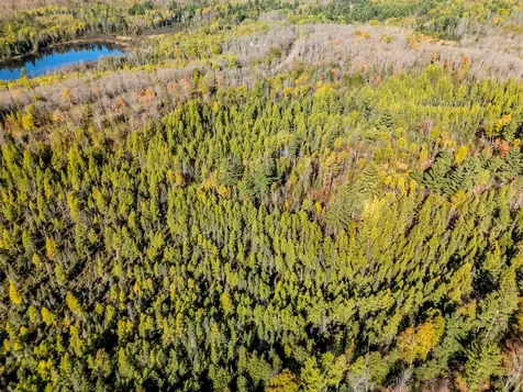 Lot On Desperation Road Oma WI 54534