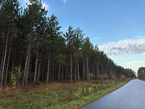 Lot 3 Plantation Road Pelican Lake WI 54463