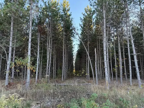 Lot 3 Plantation Road Pelican Lake WI 54463