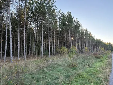 Lot 3 Plantation Road Pelican Lake WI 54463