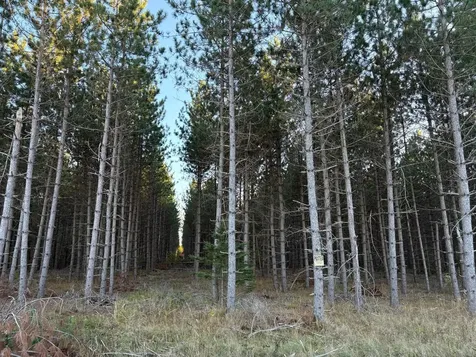 Lot 3 Plantation Road Pelican Lake WI 54463