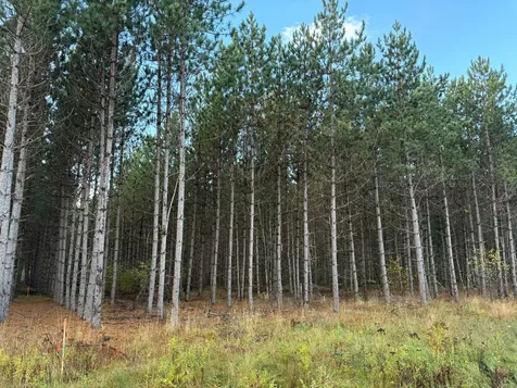 Lot 3 Plantation Road Pelican Lake WI 54463