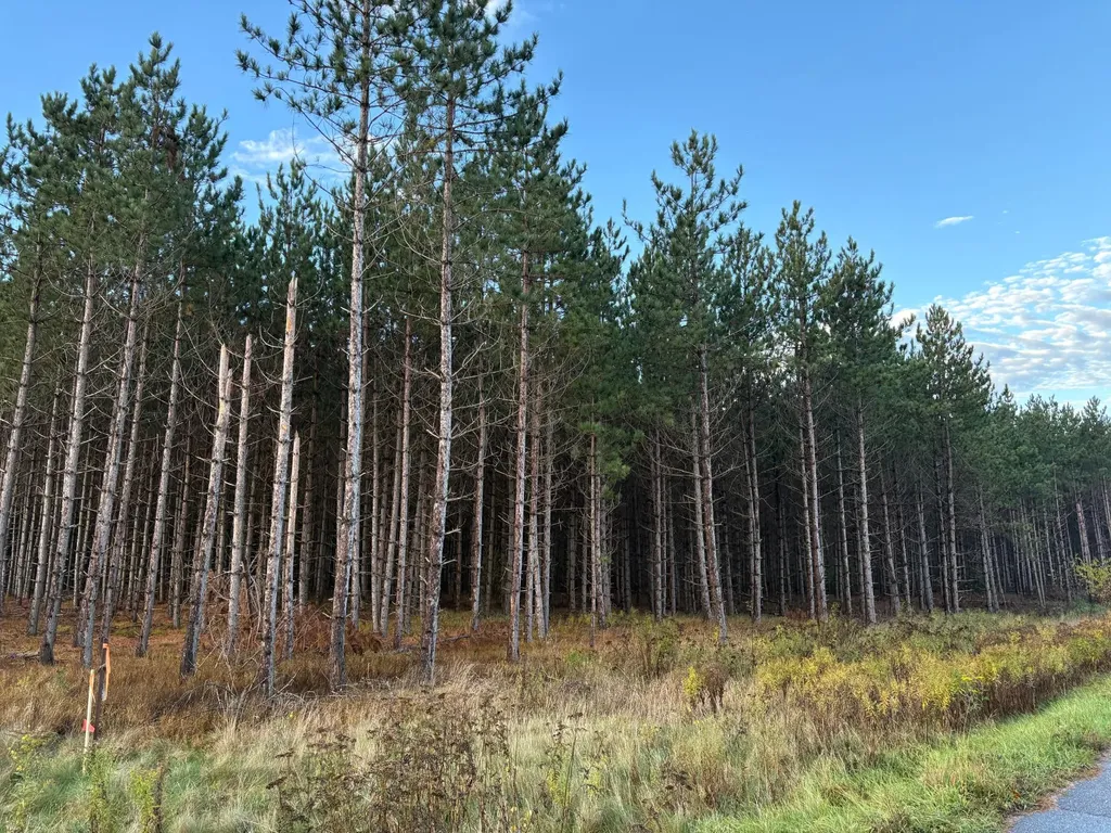 Lot 4 Plantation Road Pelican Lake WI 54463