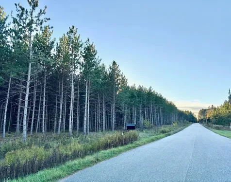 Lot 4 Plantation Road Pelican Lake WI 54463