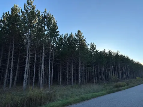 Lot 4 Plantation Road Pelican Lake WI 54463