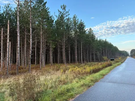 Lot 4 Plantation Road Pelican Lake WI 54463
