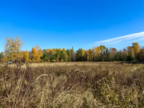 N6441 Lindow Road Prentice WI 54556