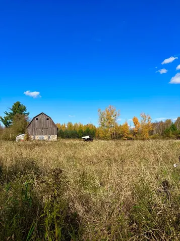 N6441 Lindow Road Prentice WI 54556