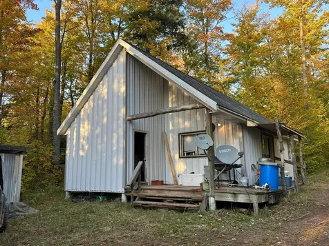 Off Forest Road 250 Bergland MI 49911
