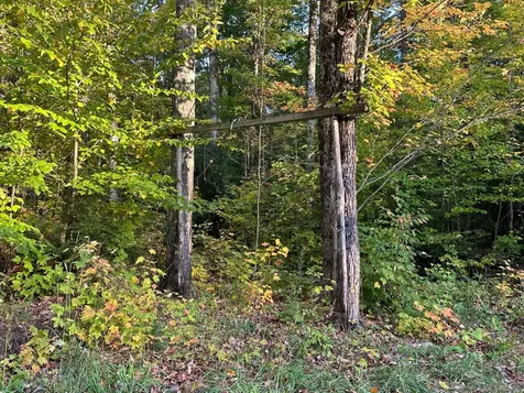 Off Forest Road 250 Bergland MI 49911