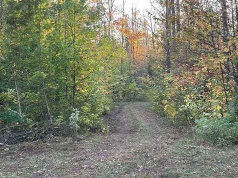Off Forest Road 250 Bergland MI 49911