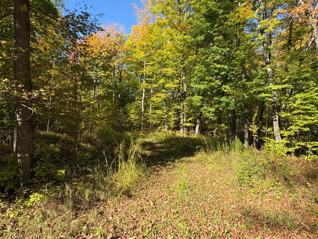 Lot 1 Isabelle Drive Marenisco MI 49947