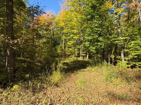 Lot 1 Isabelle Drive Marenisco MI 49947