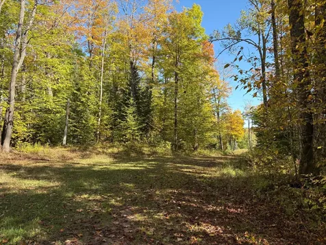 Lot 1 Isabelle Drive Marenisco MI 49947