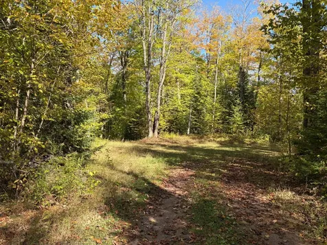 Lot 1 Isabelle Drive Marenisco MI 49947