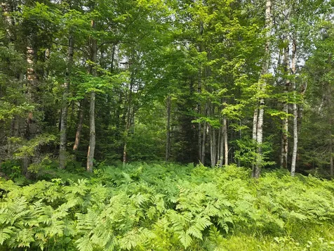 Off Highway M28 Bruce Crossing MI 49912