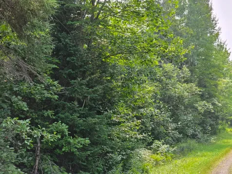 Off Highway M28 Bruce Crossing MI 49912